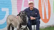 Geelong Volunteer's Devotion to Transforming Rescue Dogs