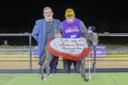 Gideon Monelli Dominates Mandurah Derby with Powerhouse Win