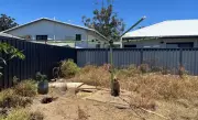 Girrawheen woman fined $4000 for leaving dogs in 30C heat without shade or water