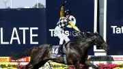 Glen Boss joins Seven Network for Queensland Racing Carnival coverage