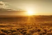 Golden Dragon Mining Strikes High-Grade Gold at Cue Project in WA