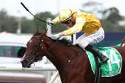 Golden Slipper Winner Lady Of Camelot Attacked By Stingray, Ruled Out Of Royal Ascot