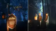 Harry Potter Forest Event in Perth Bushland Faces Escalating Opposition