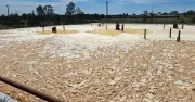 Hexham Manufacturing Fined $30,000 Over Foul Dairy Odours