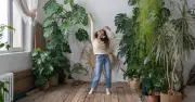 How Indoor Plants Can Boost Your Winter Mood and Reduce Stress