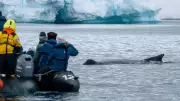 Hurtigruten Expeditions 130th Anniversary Sale: Up to 35% Off