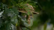 Inside Brutal Jaguar Course: Aussie Soldier Earns Coveted Award