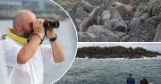 Inside Shellharbour's Whale Watching Tours: A First-Hand Experience