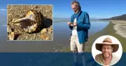 Lake George Mystery Solved: Sea Shells and Smoke Columns Explained