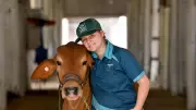 Next Gen Cattle Handlers Hone Skills for Show Season in Townsville
