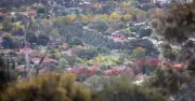 Opinion: Licensing Alone Won't Fix Canberra's Building Failures