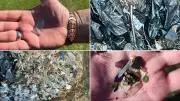 Perth Football Oval Cleanup After Glass-Contaminated Compost