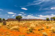 Premier1 Hits High-Grade Gold, Uncovers VMS Potential at Yalgoo