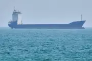 Project Freedom: Australia's Plan to Secure Strait of Hormuz