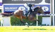 Rock 'N' The Jam Stakes Perth Cup Claim with Rogan Josh Win