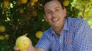 SA family business Nippy’s invests $11.5m to double citrus output