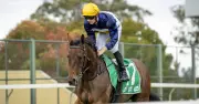 Scone Racing Tips: Expert Previews for Saturday’s Full Card