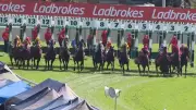 Spreadsheet Error Blamed for Hobart Cup Distance Fiasco