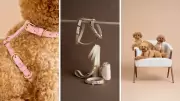 Sustainable Pet Brand MIA COOSH Offers Vegan Leather Walkwear