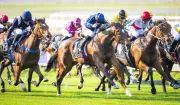 Talkanco leads WA hopes in Group 1 Goodwood at Morphettville