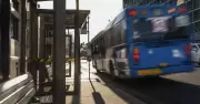 Two Teens Charged After Man Knocked Unconscious on Bus at Belmont
