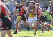 Veteran Matthew Taylor shines as Demons eye finals