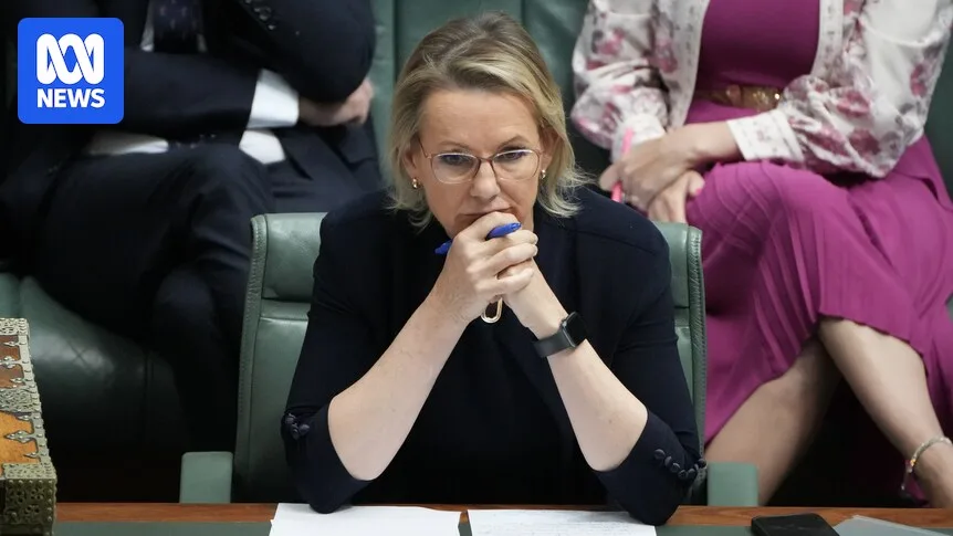 Liberal MPs Recall to Parliament to Settle Net Zero Stance
