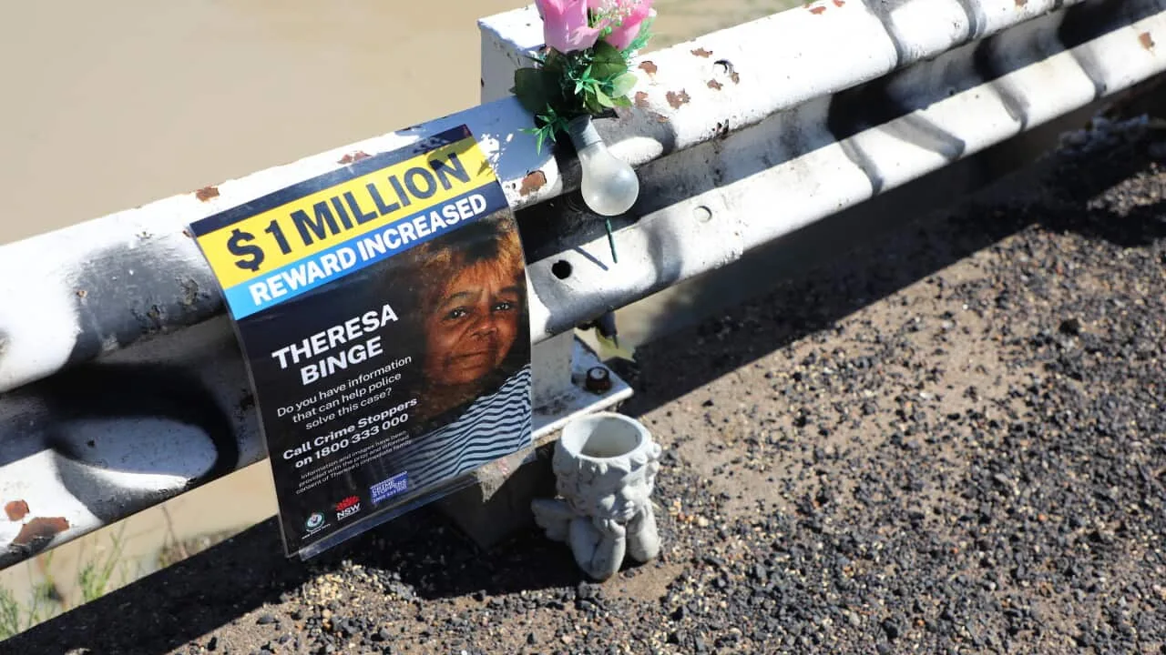Reward for Information in Theresa Binge Cold Case Murder Increased to $1 Million