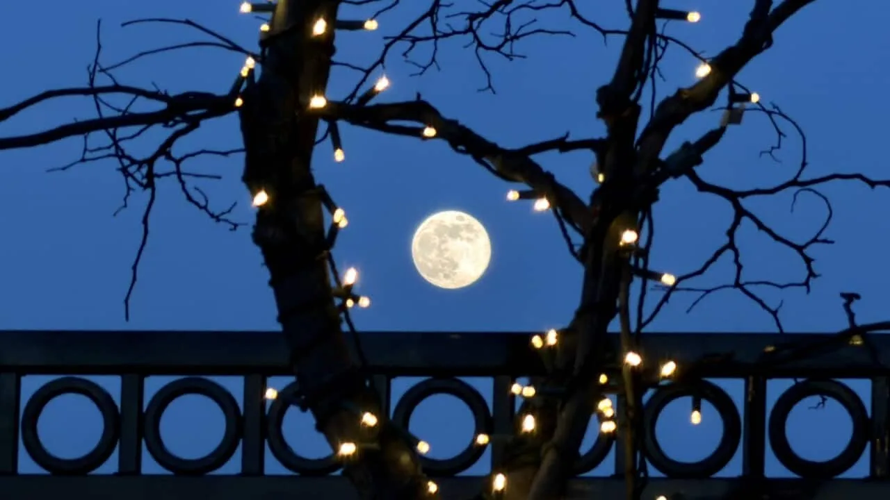 2026's First Supermoon: Wolf Moon to Appear Larger Tonight