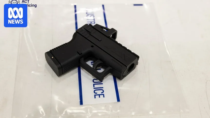 ACT Teacher Under Investigation Over 3D-Printed Gun at School