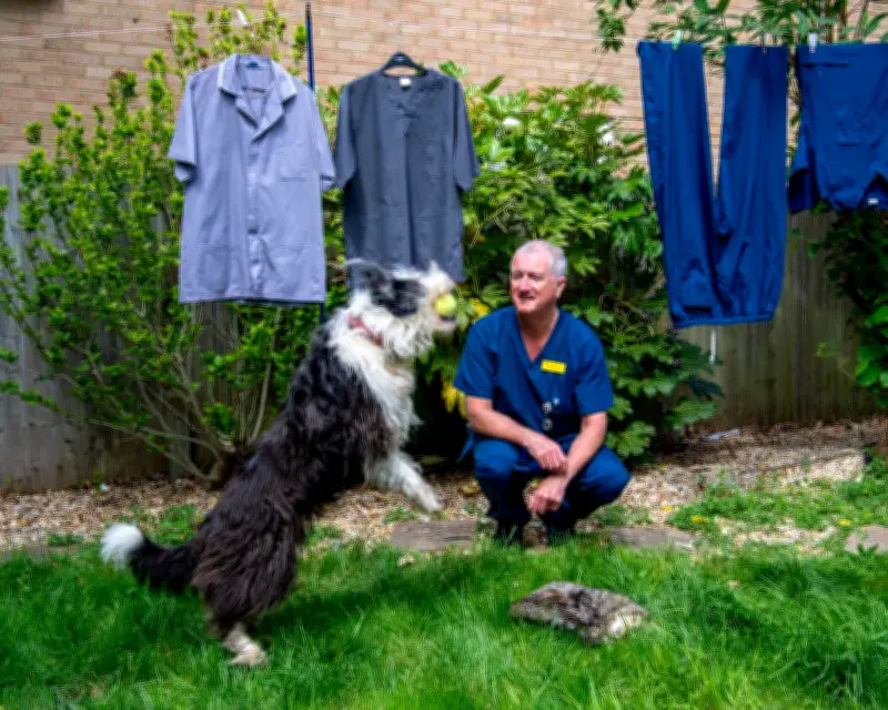 A New Start After 60: Finding a Job in Online Nursing