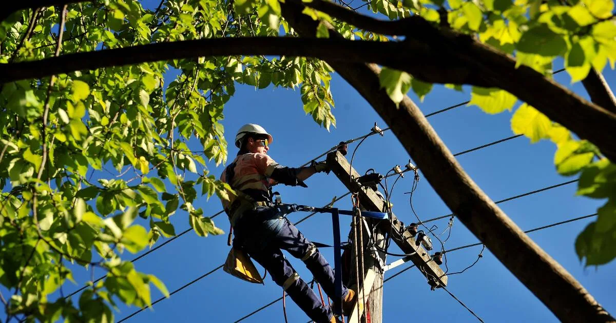 ACT Electricity Bills Rise 10% but Savings Possible, Regulator Says