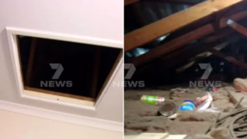 Adelaide grandmother finds squatter living in her roof for months