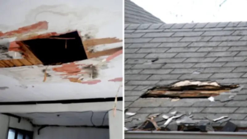 Adelaide Grandmother Traumatised by Squatter in Attic Discovery