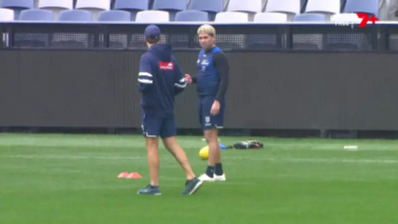 AFL Clears Tyson Stengle to Return as Geelong Eyes VFL Comeback
