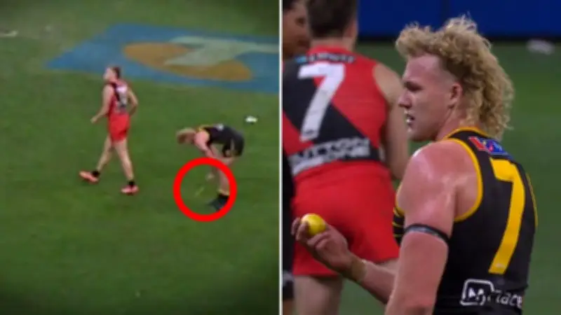 AFL Investigates Lemon Throwing Incident at West Coast Match