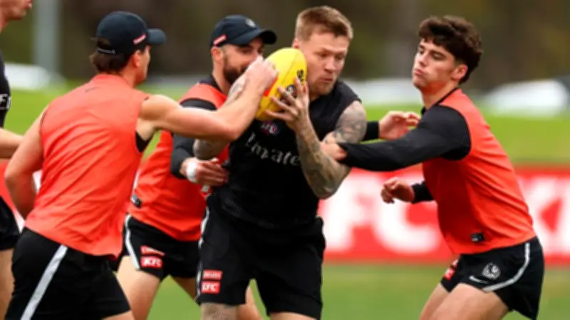 AFL to Mandate Contact Training Limits from 2027 to Reduce Concussion Risk
