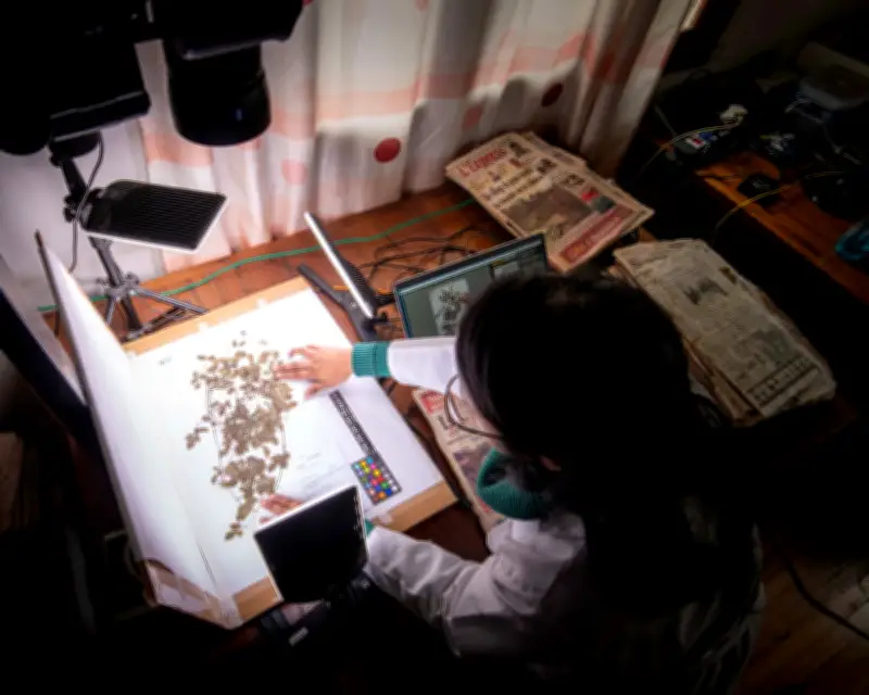 AI and Digitisation Could Help Save Endangered Plants, Botanists Say