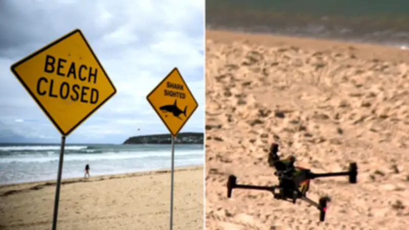 AI Drones Could Patrol Sydney Beaches for Sharks This Summer