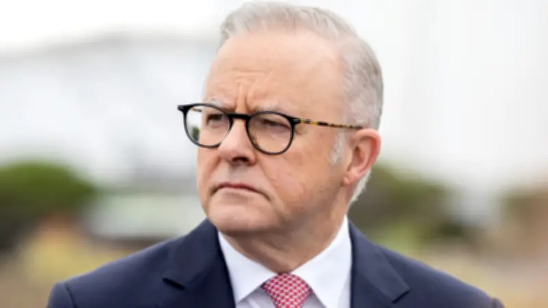 Albanese Faces Growing Pressure as One Nation Support Surges