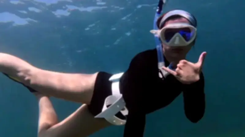 American Airlines Flight Attendant Killed in Boat Strike While Snorkeling