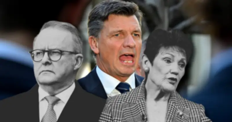 Angus Taylor Avoids Backing Multiculturalism After Pauline Hanson Speech