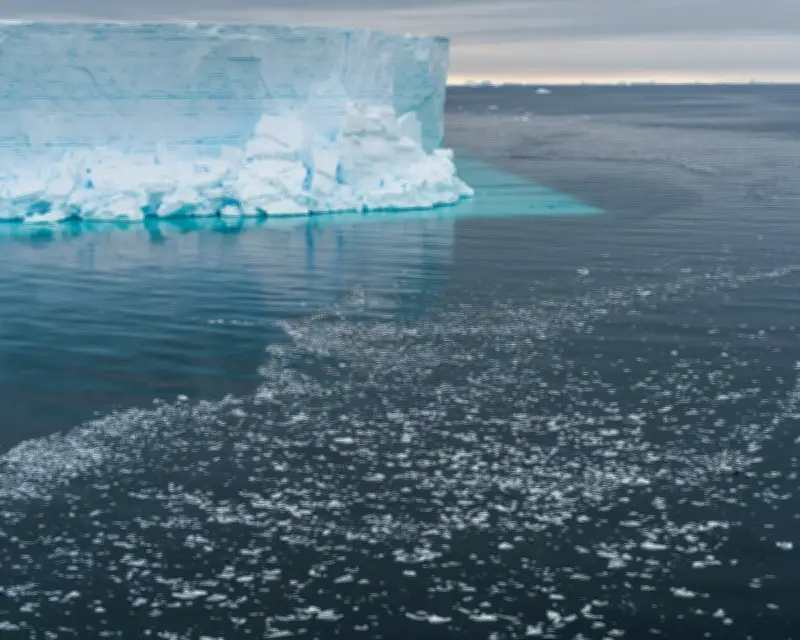 Antarctica's West Coast Missing Sea Ice the Size of France