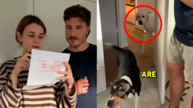 Aussie Couple Hits Back After RSPCA Threat Over Dogs