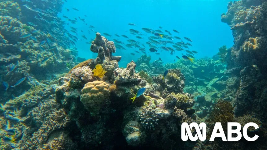 Great Barrier Reef Avoids UNESCO Danger List, but Climate Concerns Remain