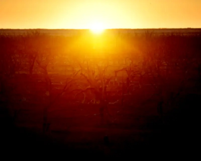 Australia Told to Prepare for Imminent El Niño Weather Event