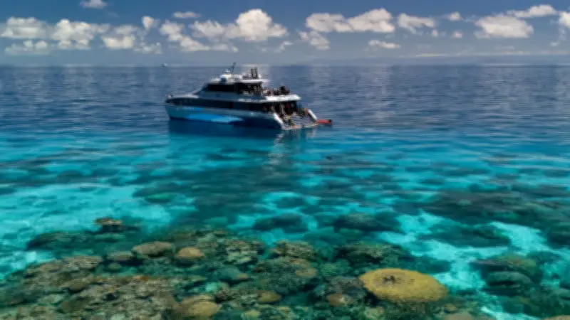 Australian Groups Urge UN Annual Scrutiny Over Great Barrier Reef Land Clearing