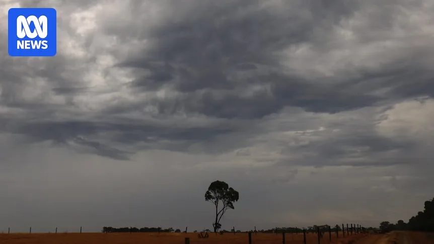 Extreme Weather Chaos Hits Multiple Australian States