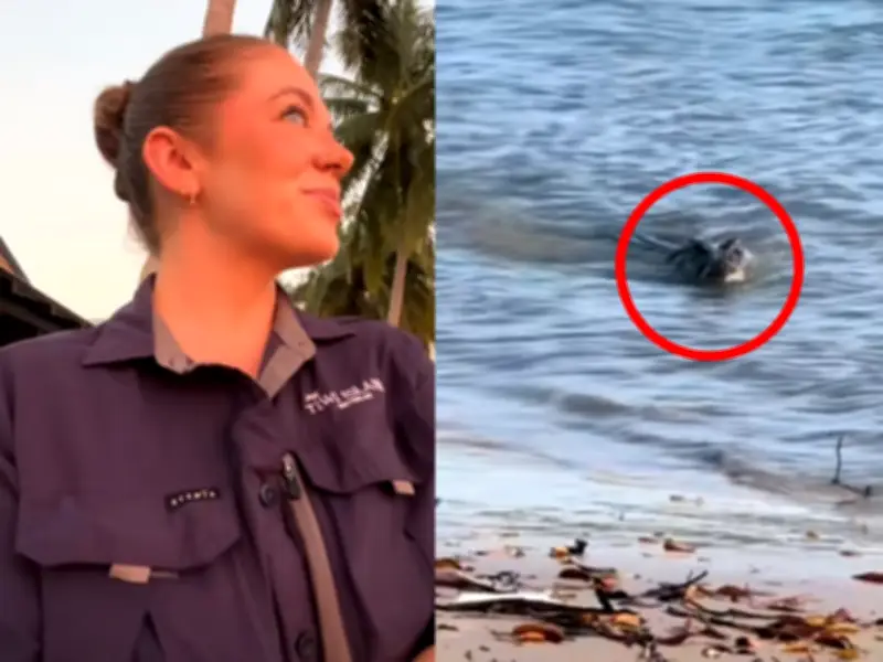 Backpacker's Terrifying Aussie Water Footage Goes Viral