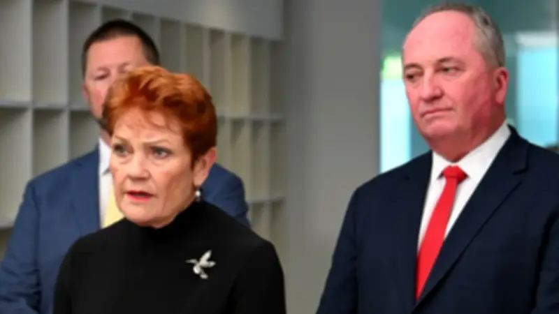 Barnaby Joyce defends Pauline Hanson's PM ability after journalist's critique